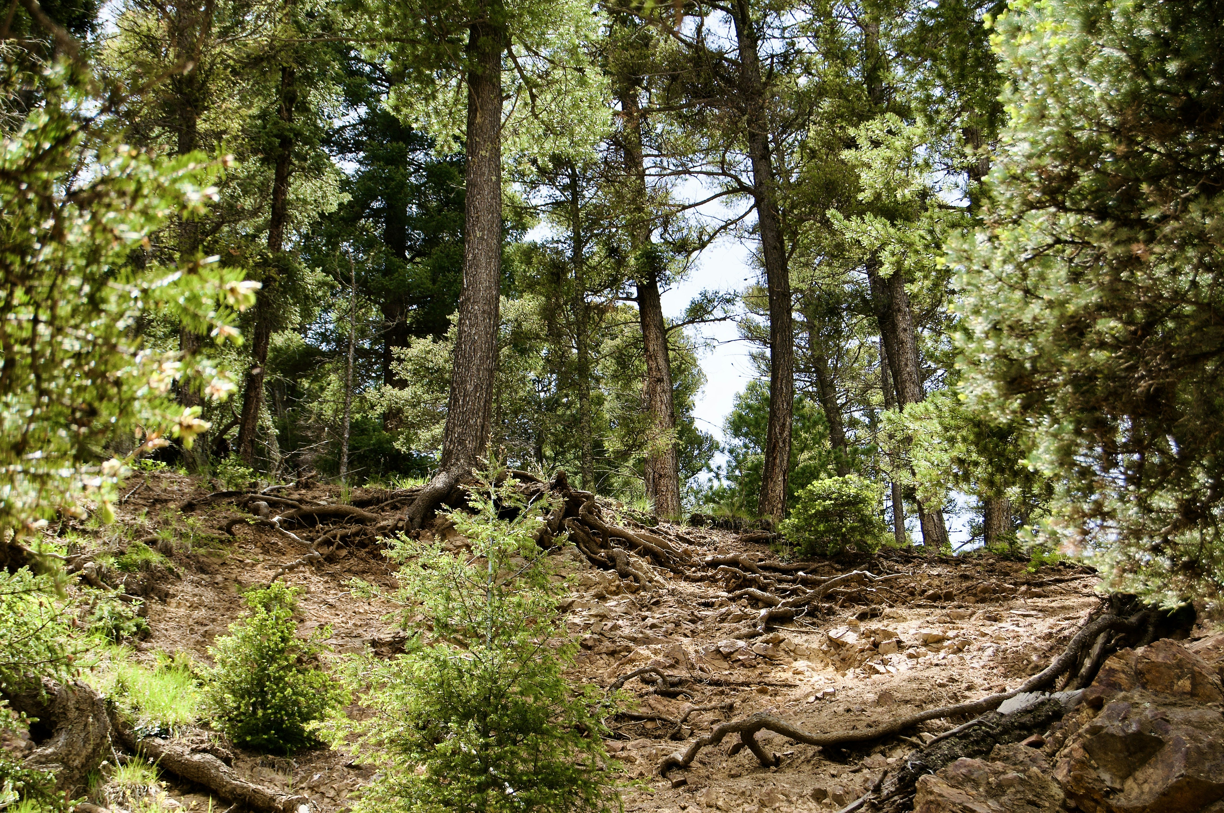 Photo by alexanderphotography