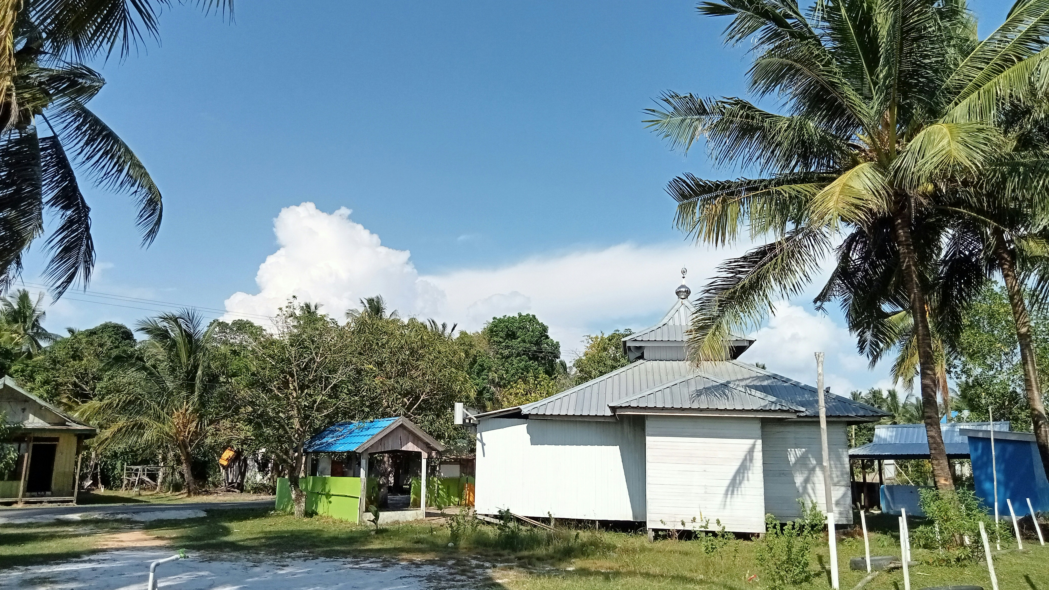 Piggy bank with a small house icon and palm trees, representing Florida homeowners saving on insurance. - Homeowners insurance policy Florida