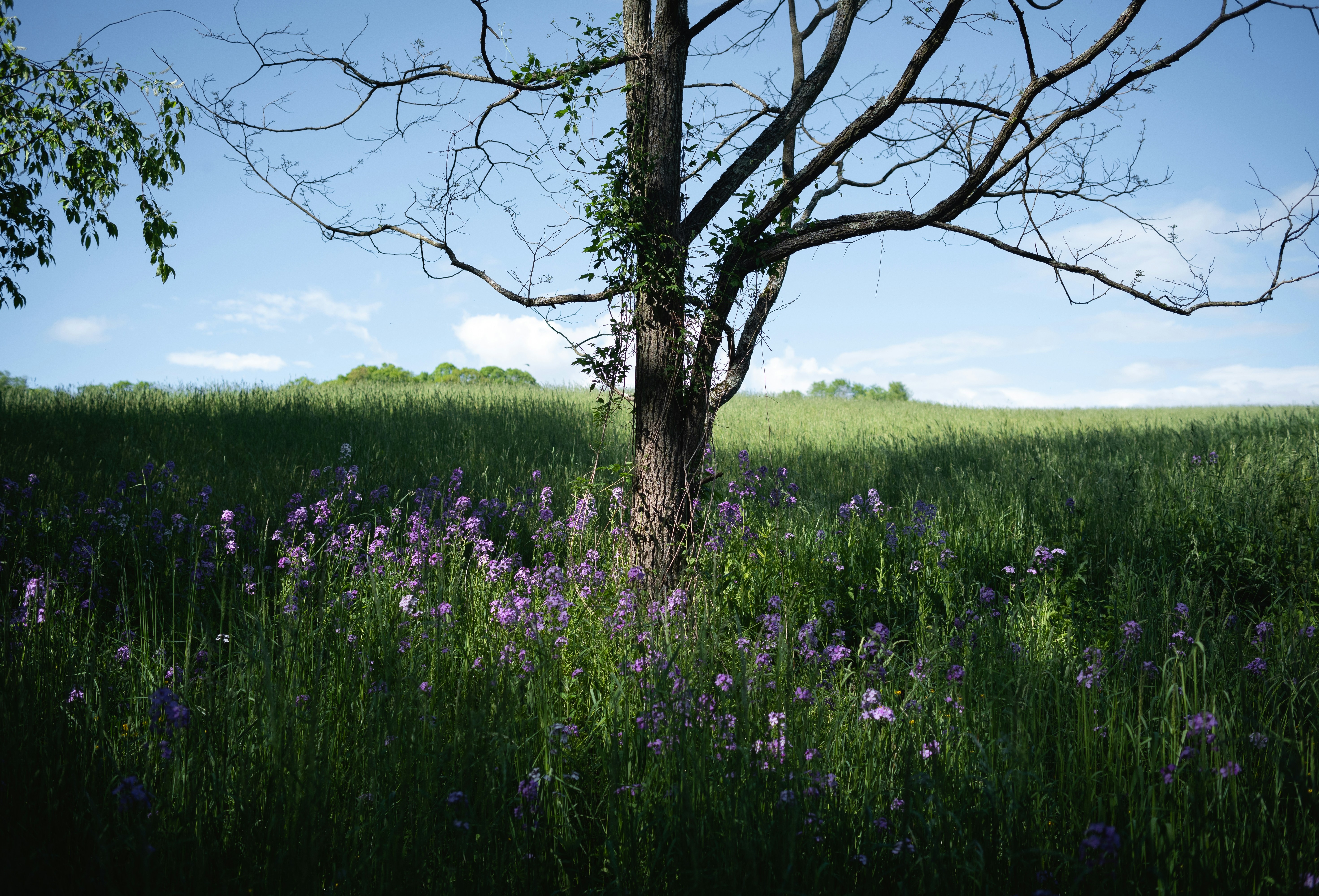 Photo by flyonthewallphotos