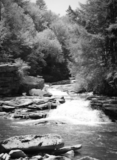 A serene natural scene with a flowing waterfall surrounded by rocky formations and dense trees, capturing the tranquility of a forest environment. Dappled sunlight filters through the foliage, highlighting the textures of the rocks and water.