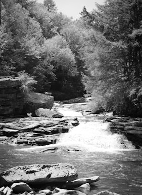 A serene natural scene with a flowing waterfall surrounded by rocky formations and dense trees, capturing the tranquility of a forest environment. Dappled sunlight filters through the foliage, highlighting the textures of the rocks and water.