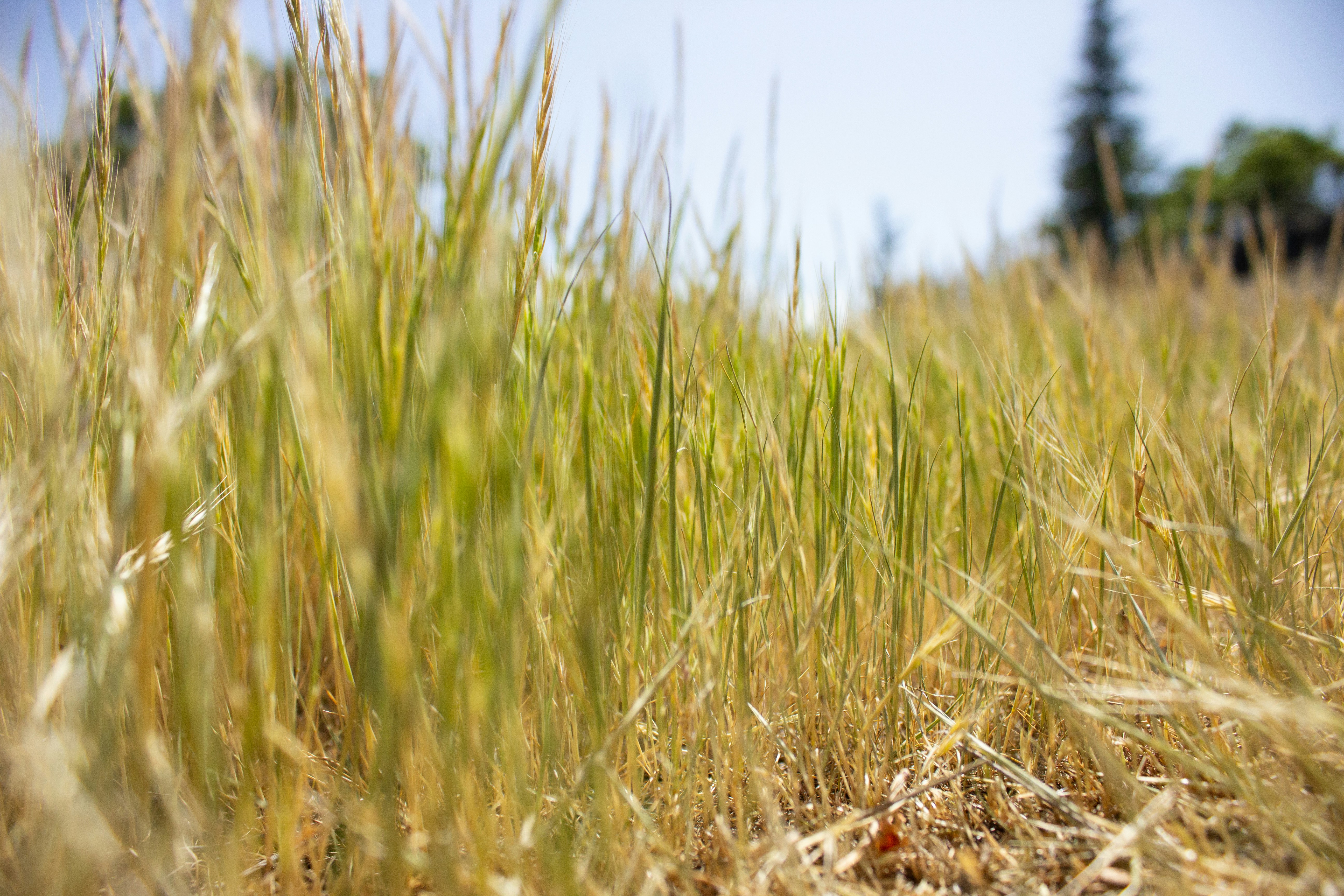 Photo by dcanadianphotographer