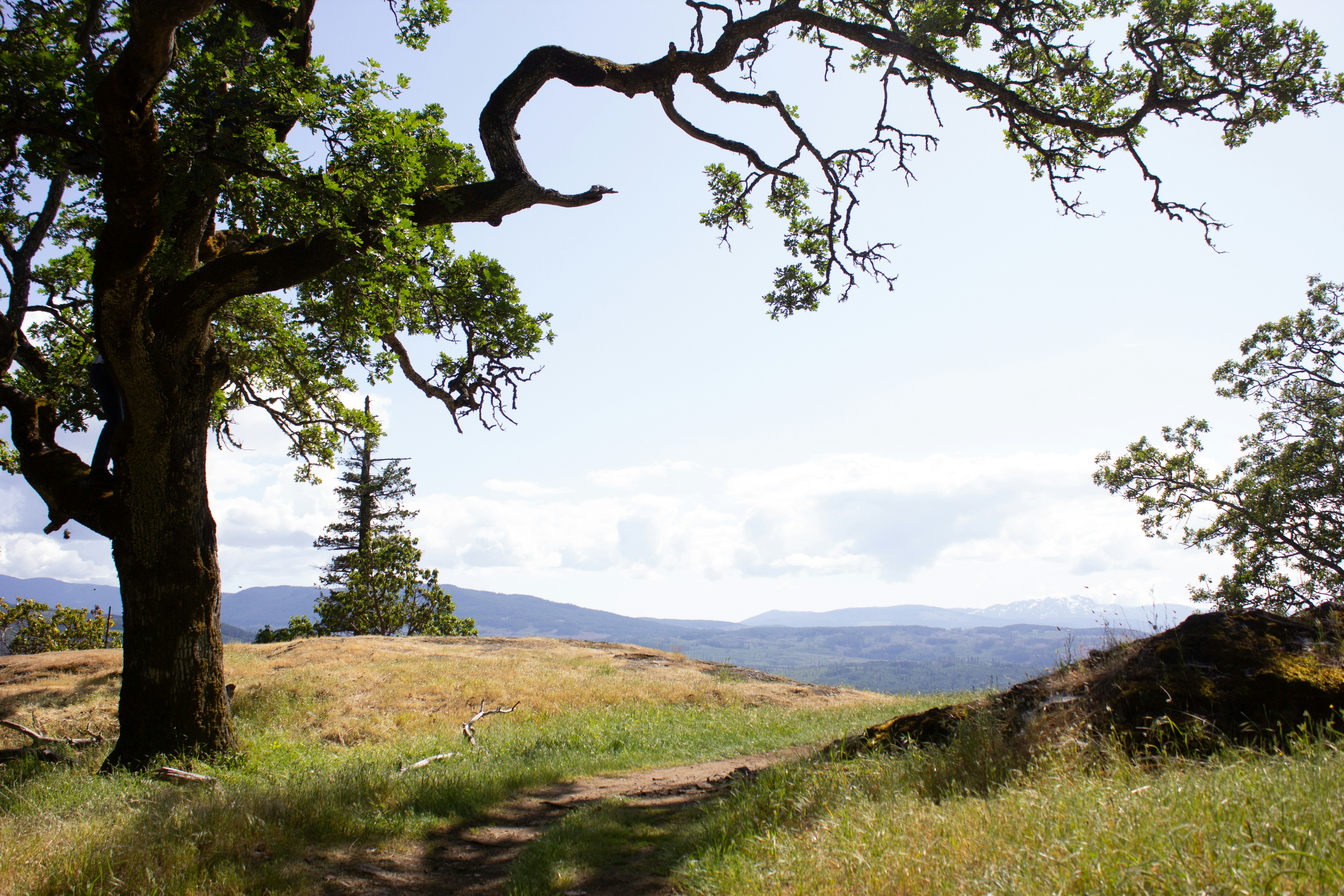 Photo by dcanadianphotographer