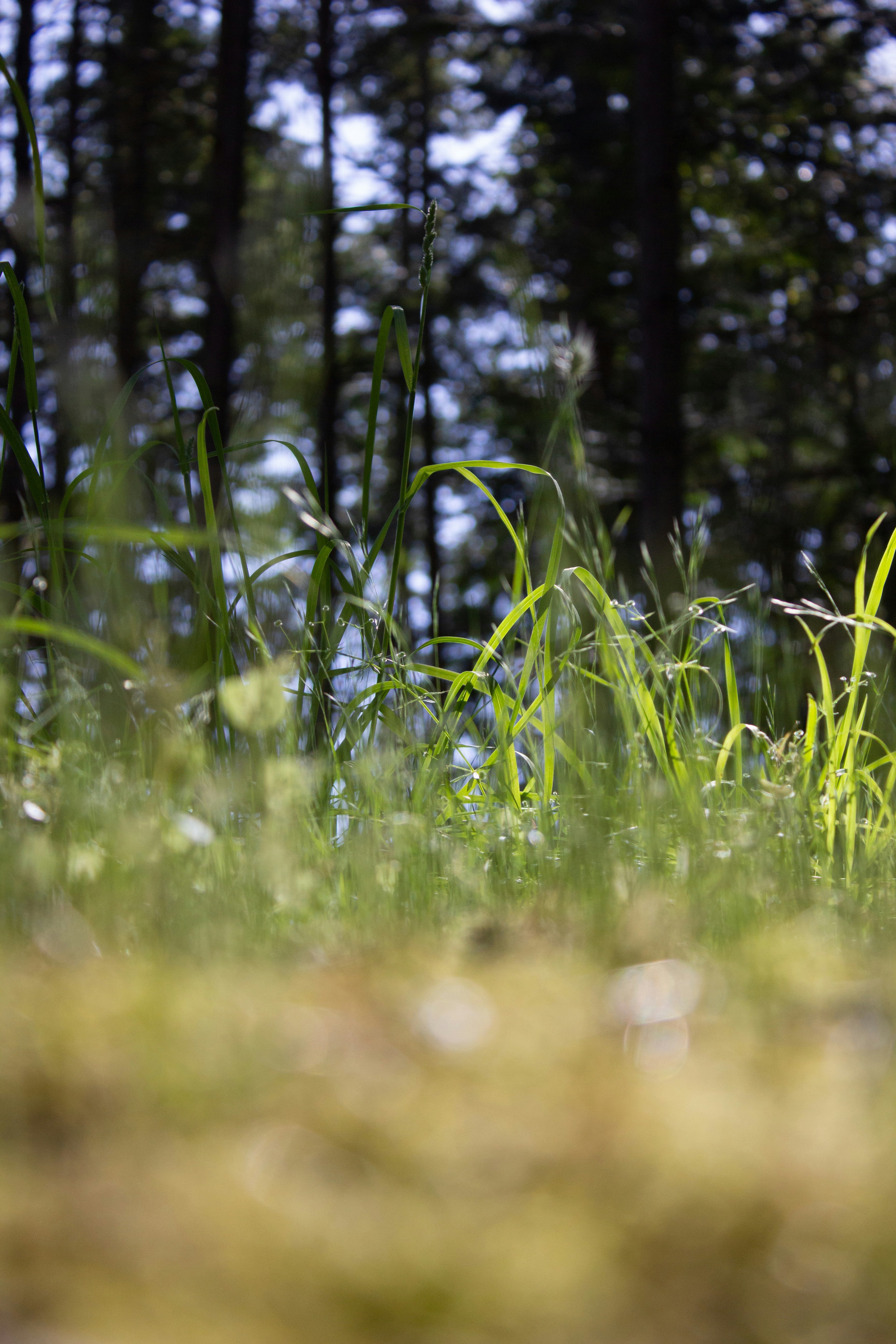 Photo by dcanadianphotographer