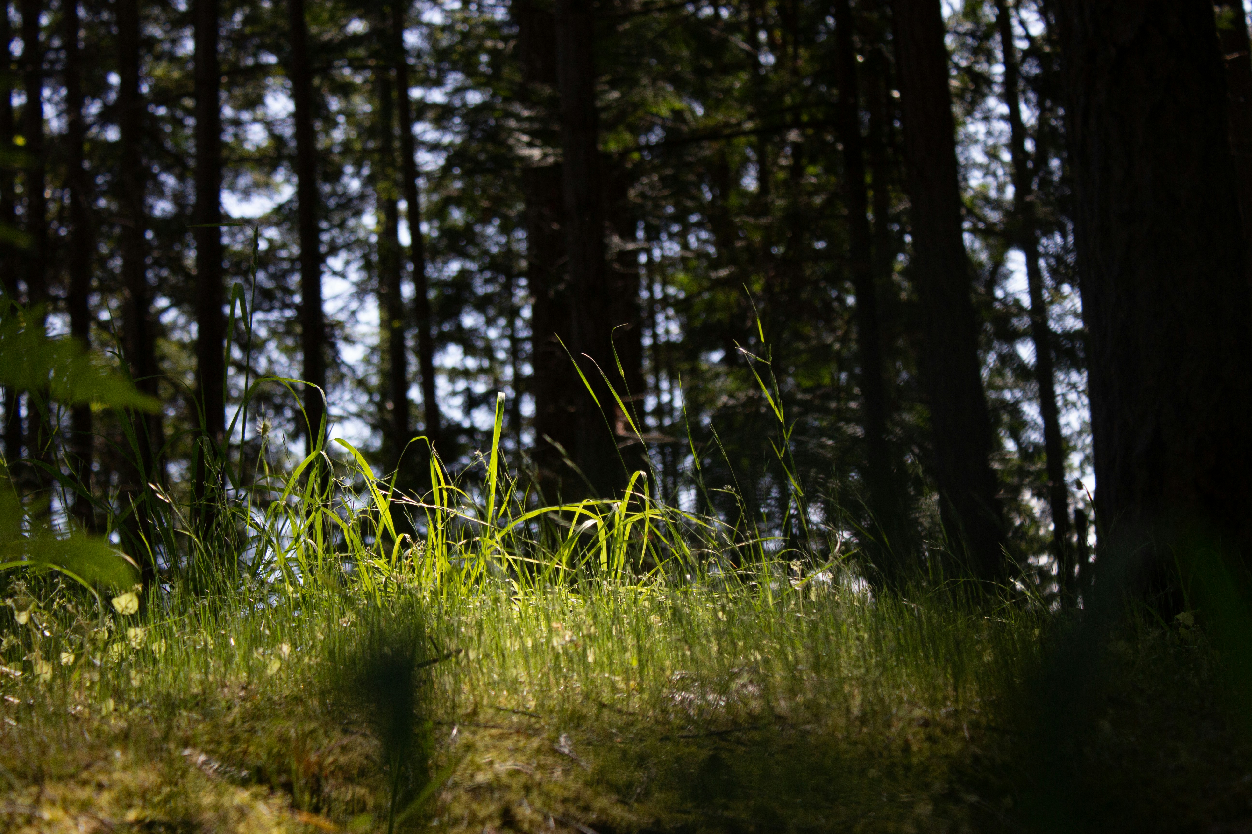 Photo by dcanadianphotographer