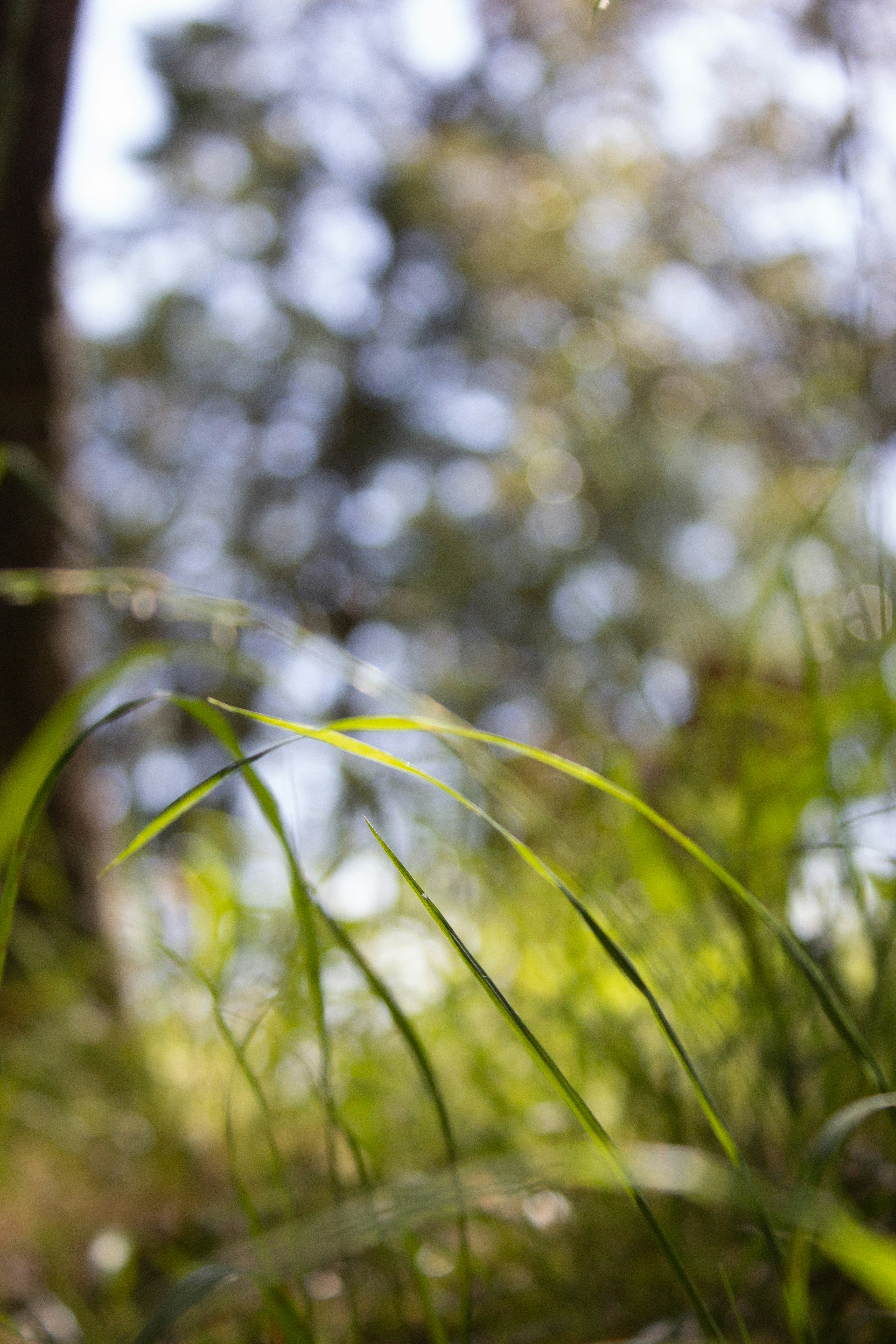 Photo by dcanadianphotographer