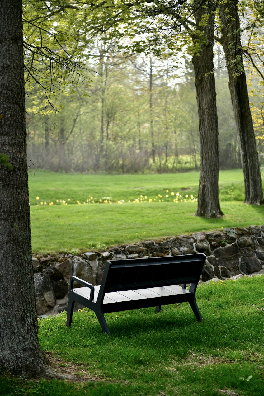 a black and white bench sitting in the middle of a park