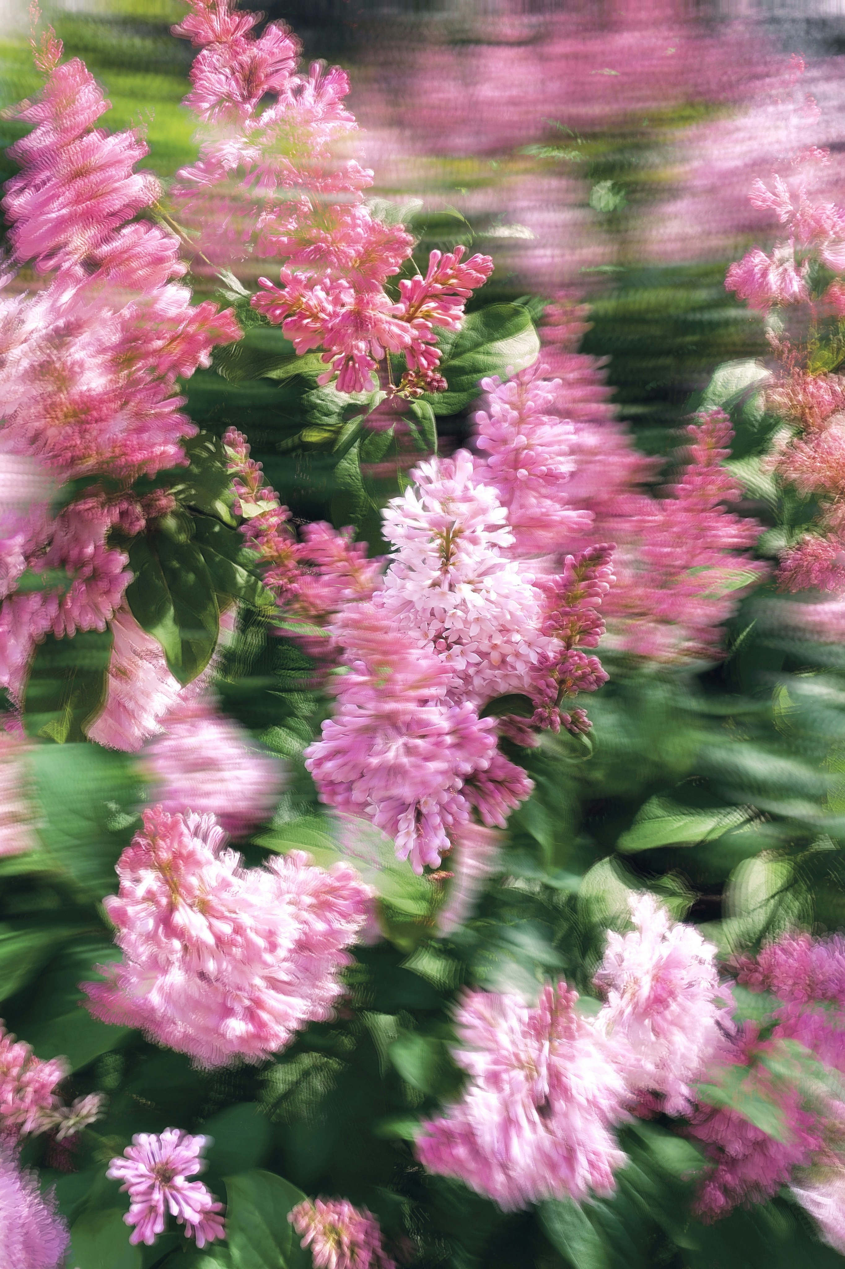 Photo by eugene_golovesov