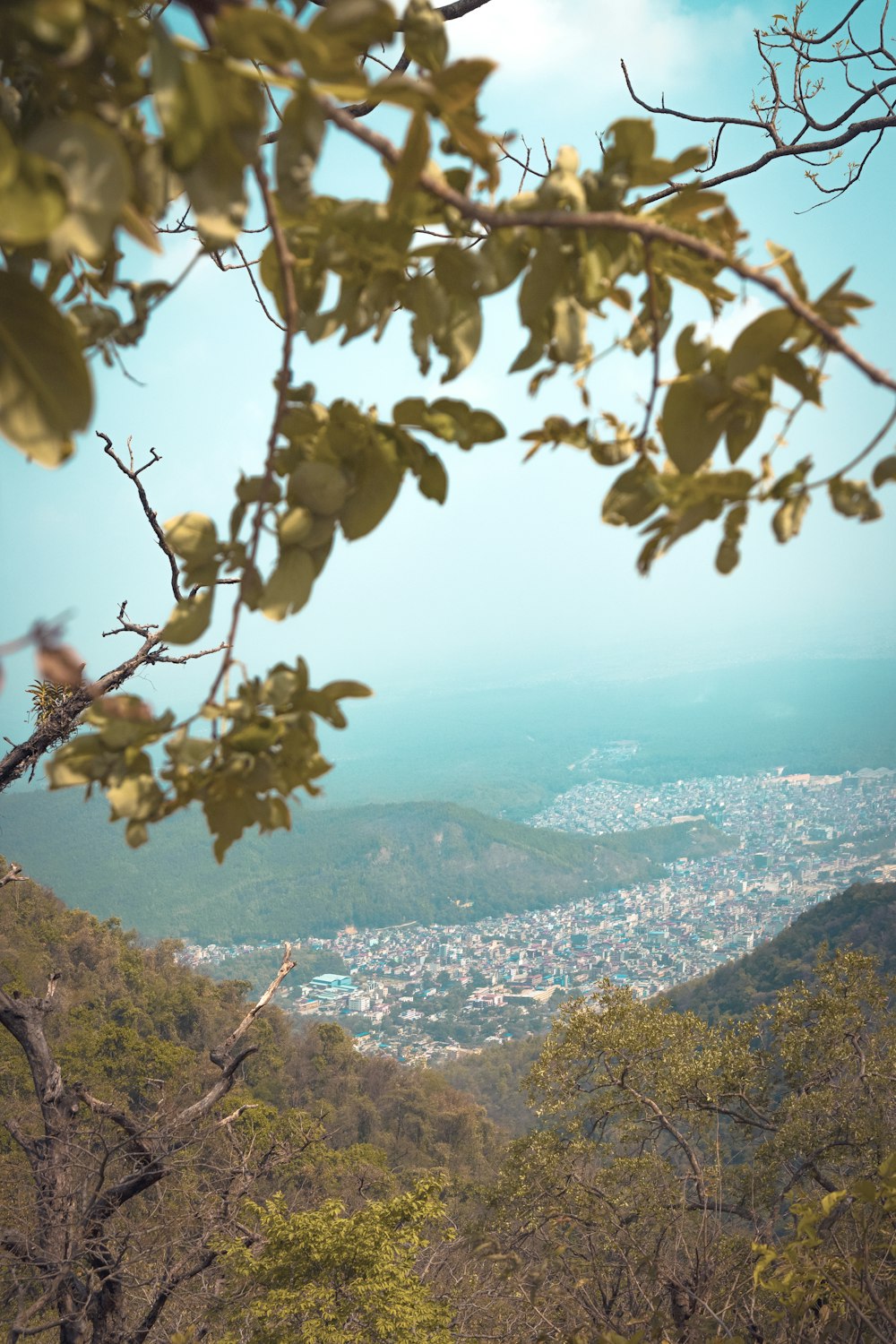 a view of a city from the top of a hill