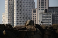 Close-up of bird spikes installed along a window sill with a cityscape background.