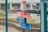 A colorful signpost with multiple directional signs in both English and Chinese points towards various destinations including IFC Mall, Central Harbourfront Event Space, Central Ferry Piers 1-6, Water Taxi, and Public Toilet. There is greenery and a wooden fence in the background, with a blurred view of a waterfront area.