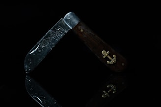 Elegant pocket knife with a polished blade and wooden grip