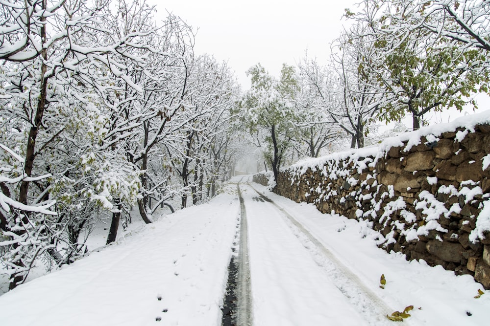 a snow covered road surrounded by trees and rocks