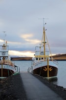 Whale watching boats on the calm bay during the peak migration season.