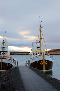 Whale watching boats on the calm bay during the peak migration season.