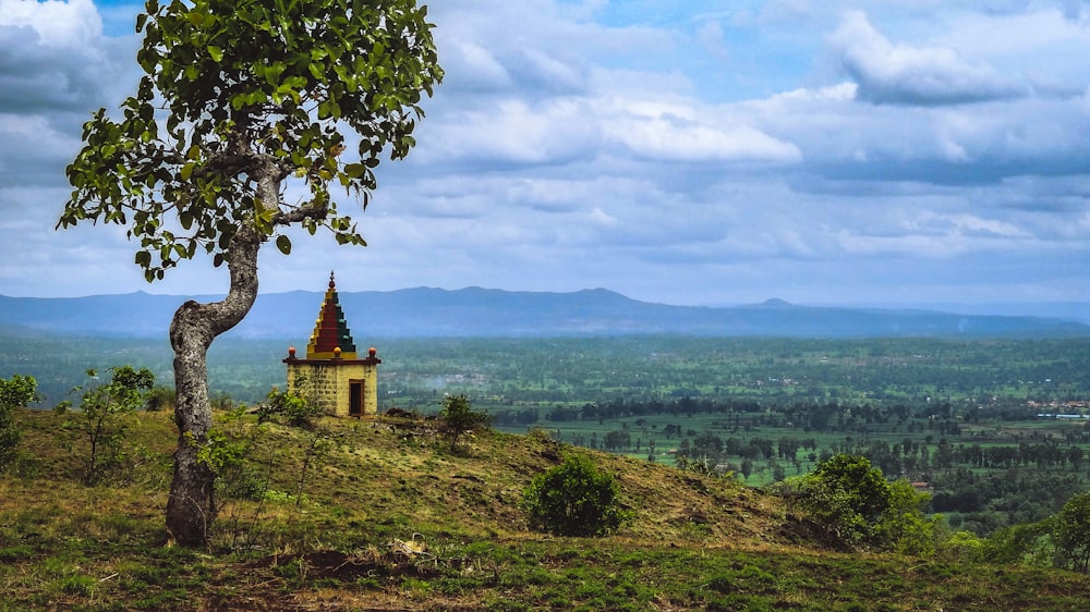 a tree on top of a hill with a sky background