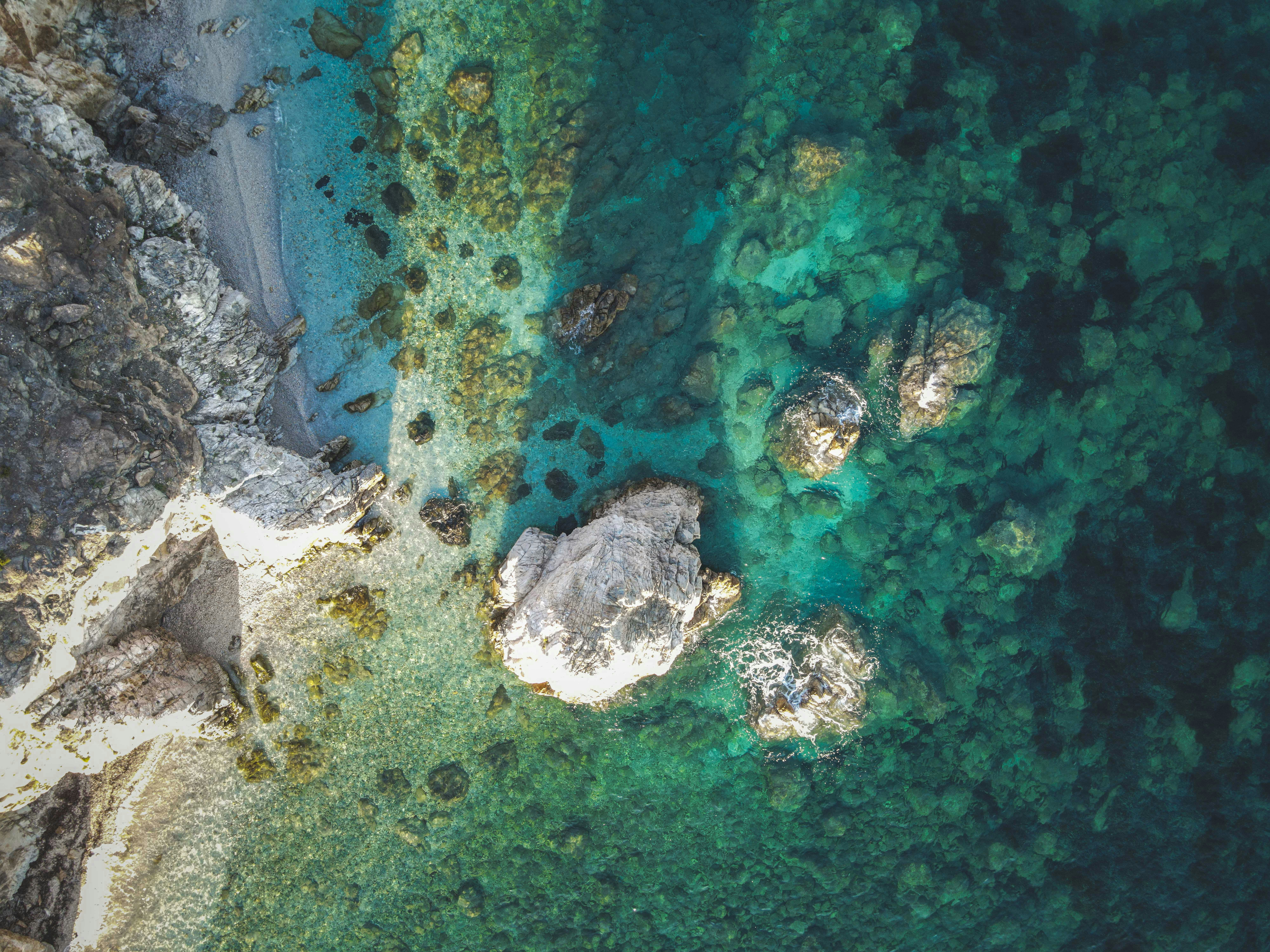 Photo by francesco_ungaro