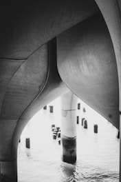 Curved concrete structures form an architectural framework above water, with wooden posts emerging from the surface. The interplay of light and shadow creates a dramatic and somewhat abstract composition.