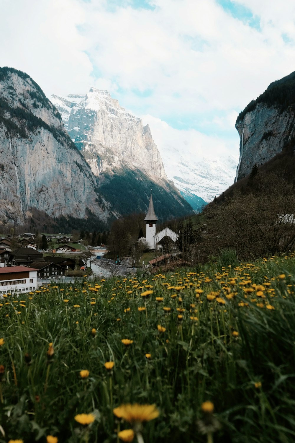 a field of flowers with a church in the background