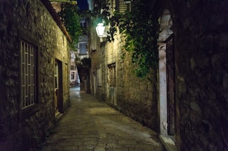 A quiet cobblestone alley lined with ivy-covered buildings and soft glowing lanterns in an old town.