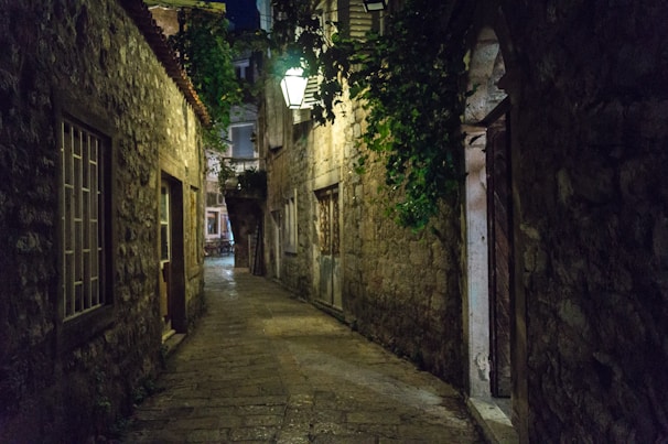 A quiet cobblestone alley lined with ivy-covered buildings and soft glowing lanterns in an old town.