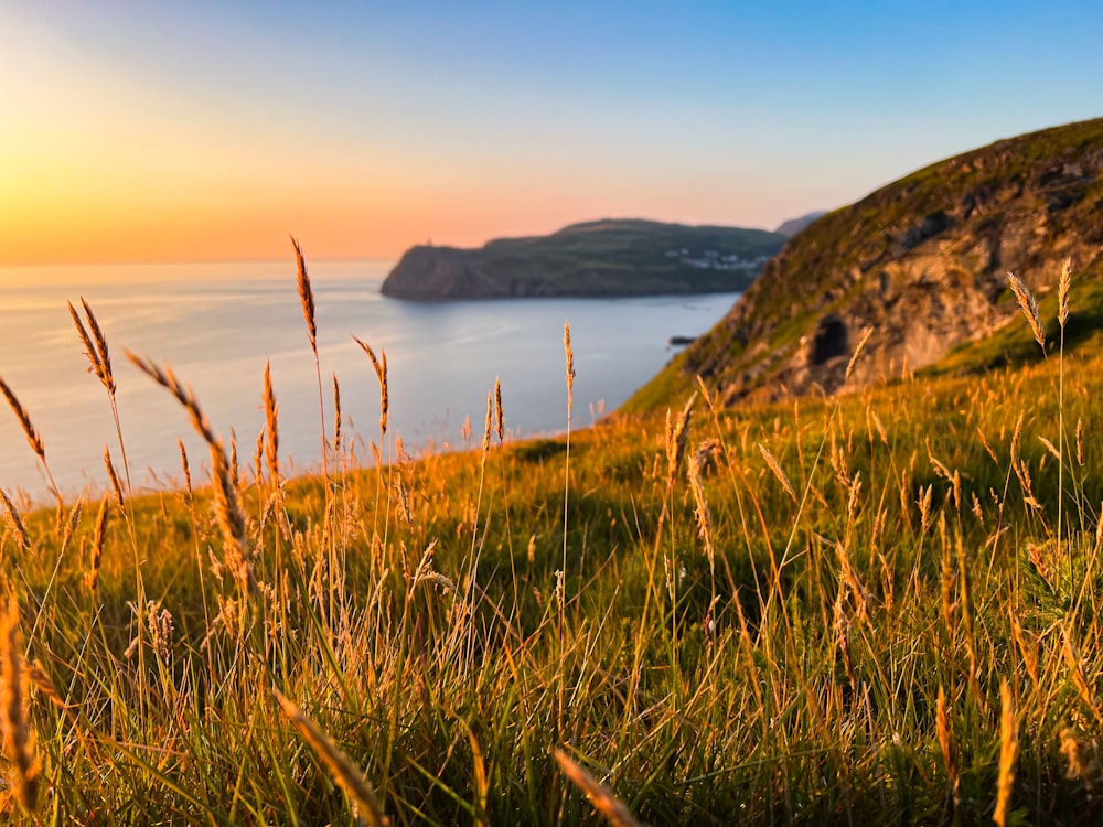 a grassy hill with a body of water in the background