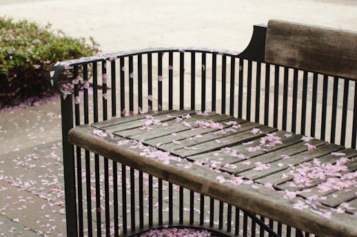 A wooden bench is covered with scattered pink flower petals. The bench has a metal frame with back and armrests, set against a stone or concrete pathway. Surrounding the area are hints of greenery, adding a natural ambiance to the scene.