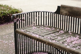 A wooden bench is covered with scattered pink flower petals. The bench has a metal frame with back and armrests, set against a stone or concrete pathway. Surrounding the area are hints of greenery, adding a natural ambiance to the scene.
