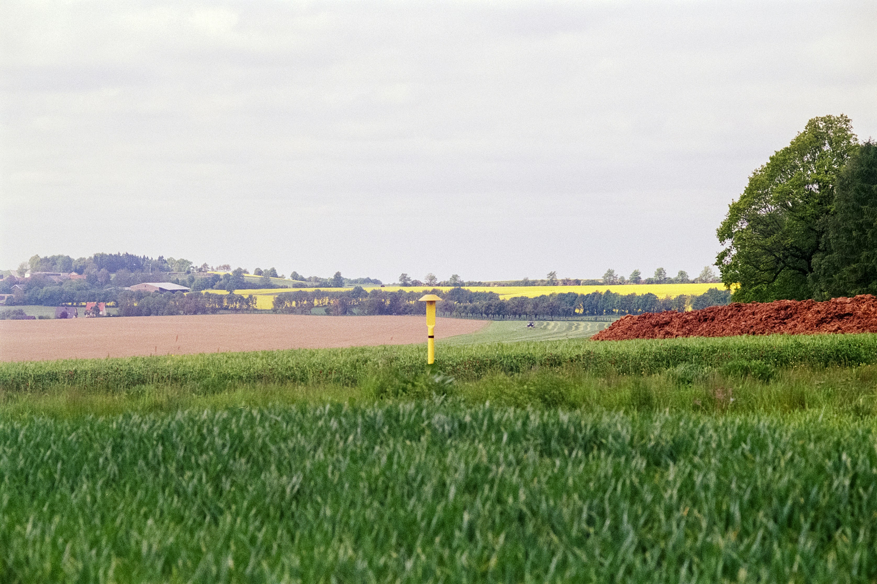 Photo by artistseyes