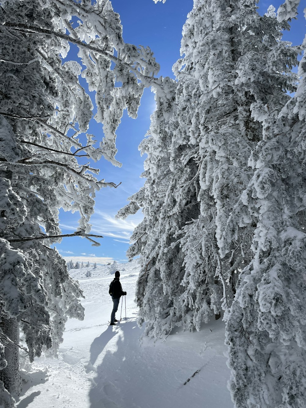 a person riding skis down a snow covered slope