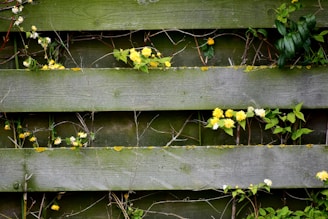 A wooden fence with a rustic appearance has green and yellow plants growing through its gaps. The planks are horizontally aligned, and there are small yellow flowers and green leaves scattered across the surface.