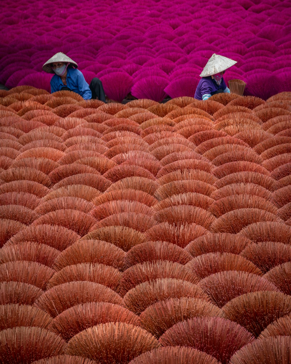 two people with umbrellas sitting in a field