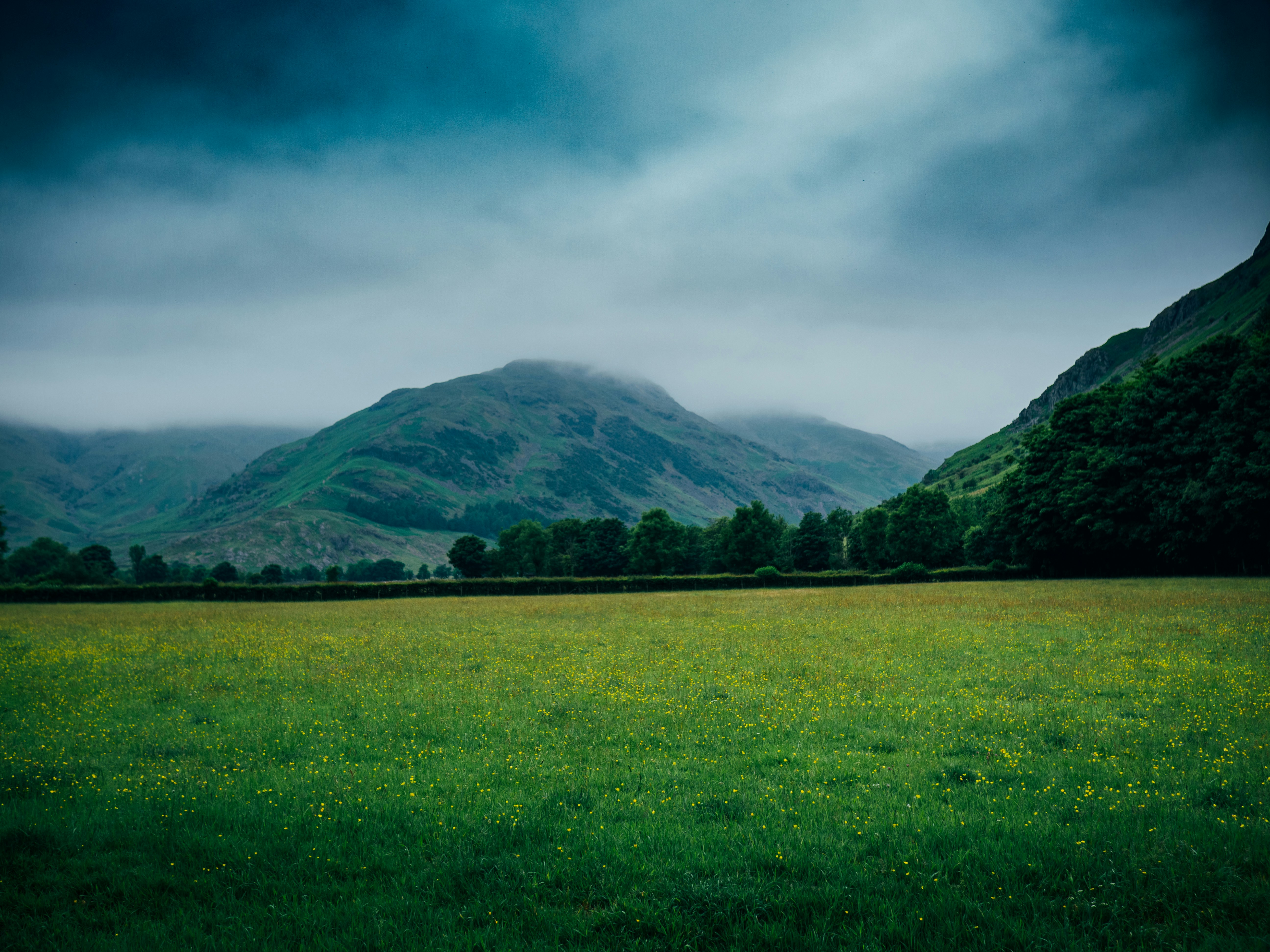 Photo by gregwillson