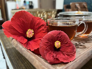 An elegant cup of hibiscus tea with a deep ruby color, steam rising gently, set against a backdrop of green leaves and gold accents.