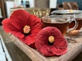 Two vibrant red hibiscus flowers are placed on a wooden tray alongside two clear glass cups filled with a dark liquid, likely tea. The background is softly blurred, drawing attention to the rich colors and textures of the flowers and the reflective surface of the tea cups.