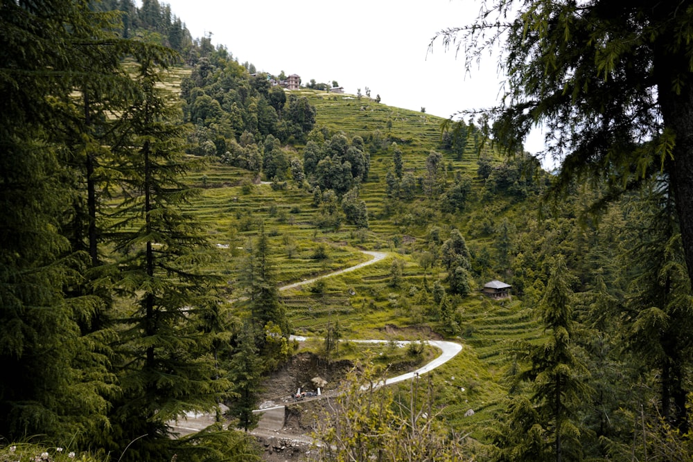 a winding road in the middle of a lush green hillside