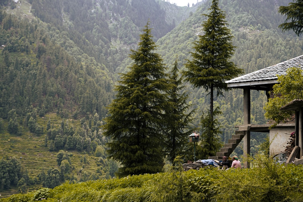 a house in the middle of a lush green valley