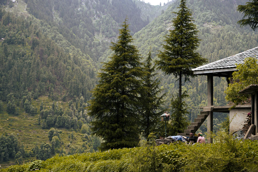 Nestled in the valley