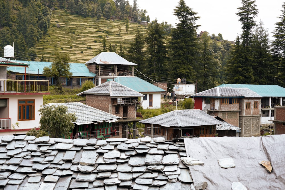 a group of houses sitting on top of a lush green hillside