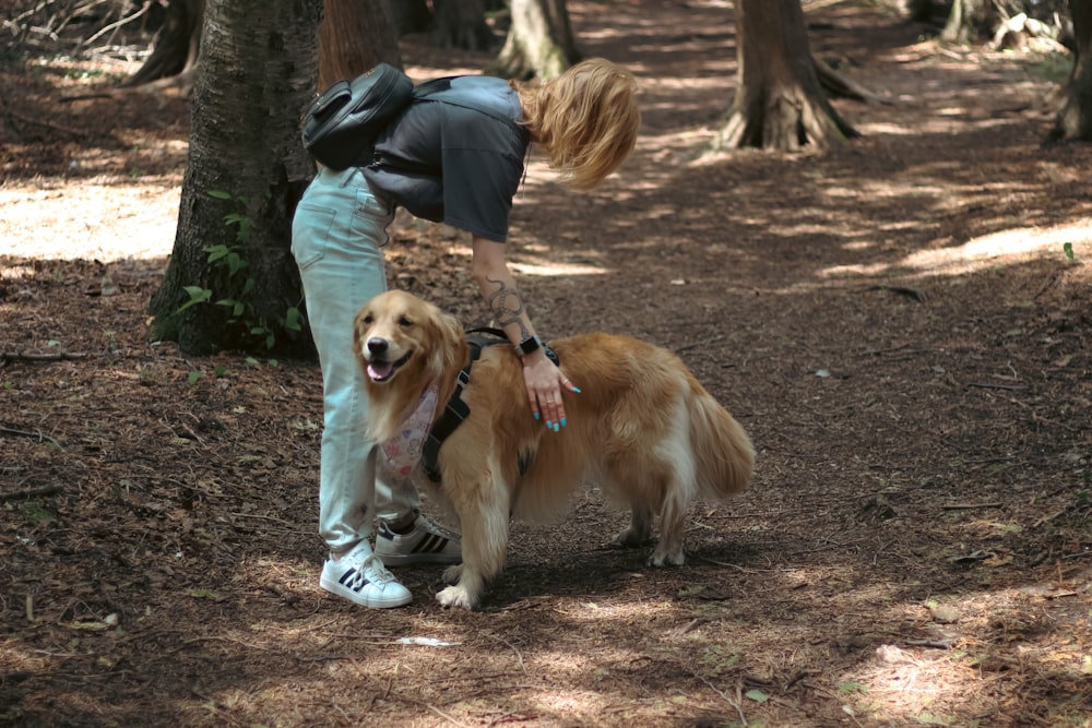 a person with a dog on a leash in the woods