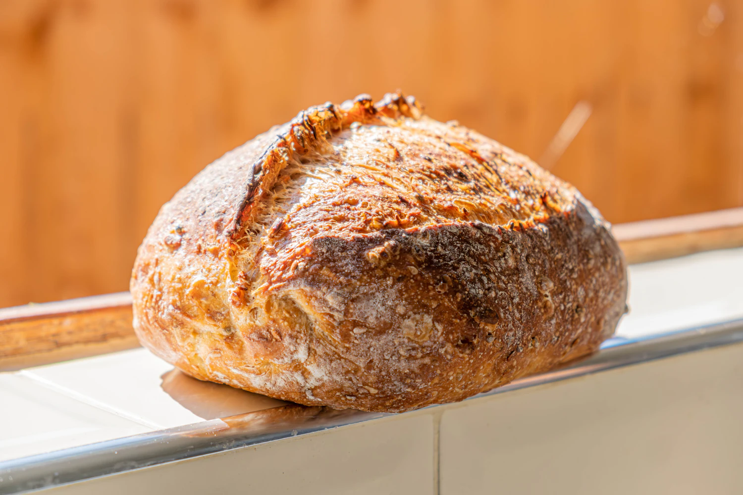One seeded boule sitting alone on a pale shelf, scored across the top
