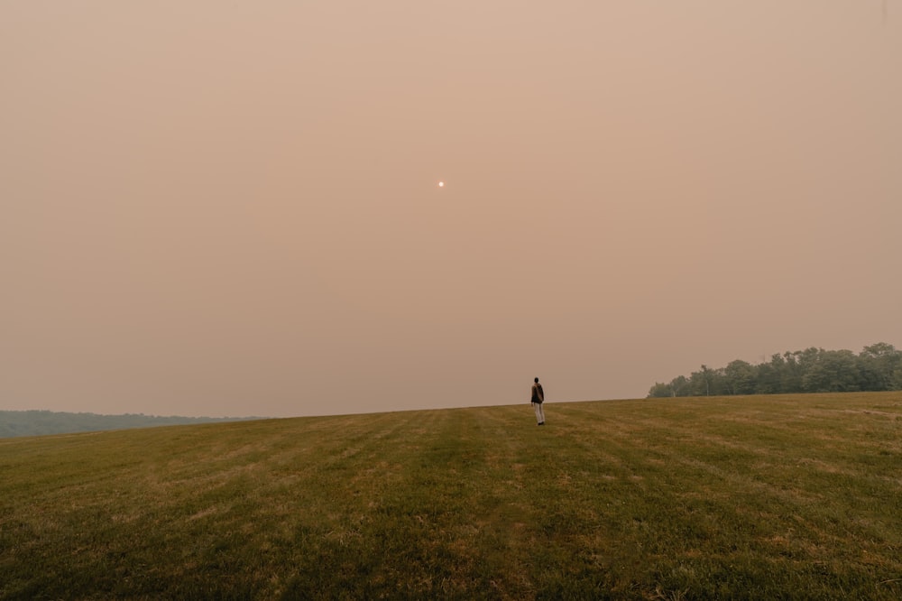 a person standing in a field with the sun in the sky