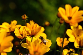 A vibrant beach scene with bees hovering over wildflowers near sandy dunes.