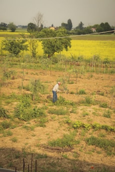 A farmer working in a lush green field under a clear blue sky.