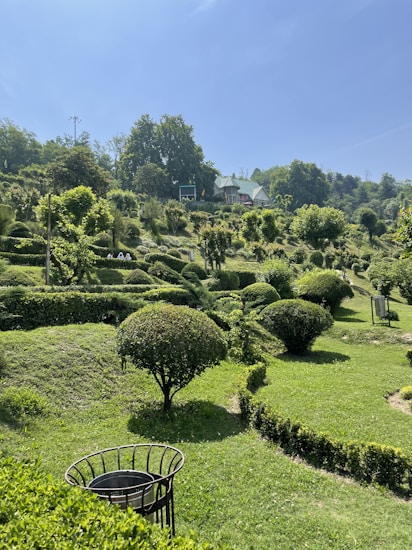 A lush, green garden landscape featuring a variety of well-manicured bushes and trees on a sunny day. There are small, winding paths and a view of a charming house with a green roof in the background, set against a blue sky.