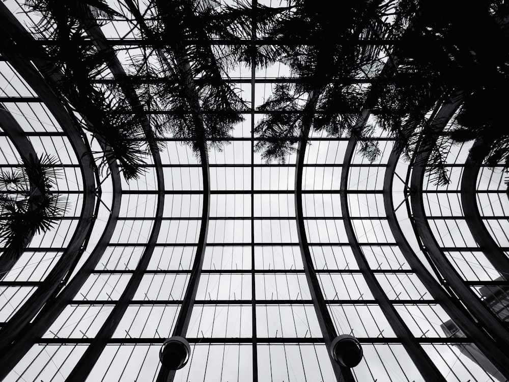 the ceiling of a building with many windows