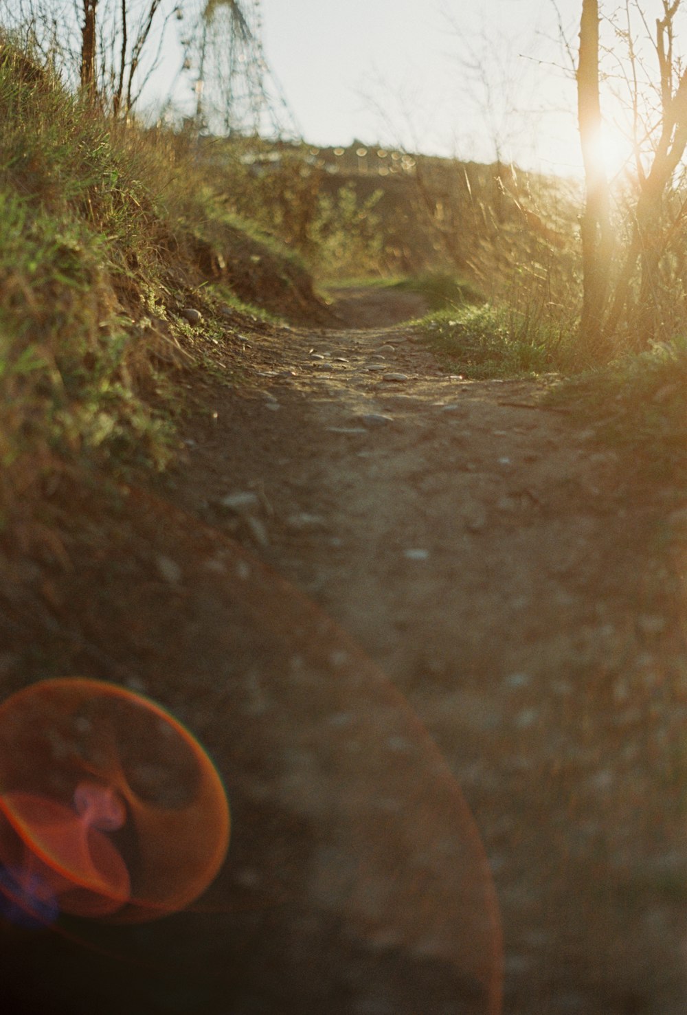 a blurry photo of a path in the woods