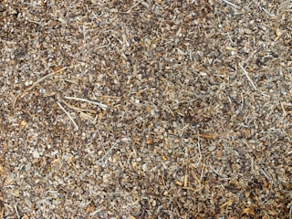 Close-up of freshly mulched forest floor with wood chips and small branches.