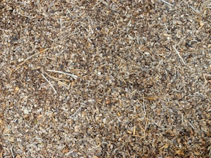 Close-up of rich, dark hardwood bark mulch freshly spread around a flower bed