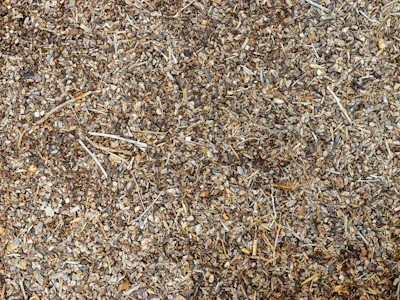 Close-up of a small mulch machine spreading wood chips evenly across a garden bed.